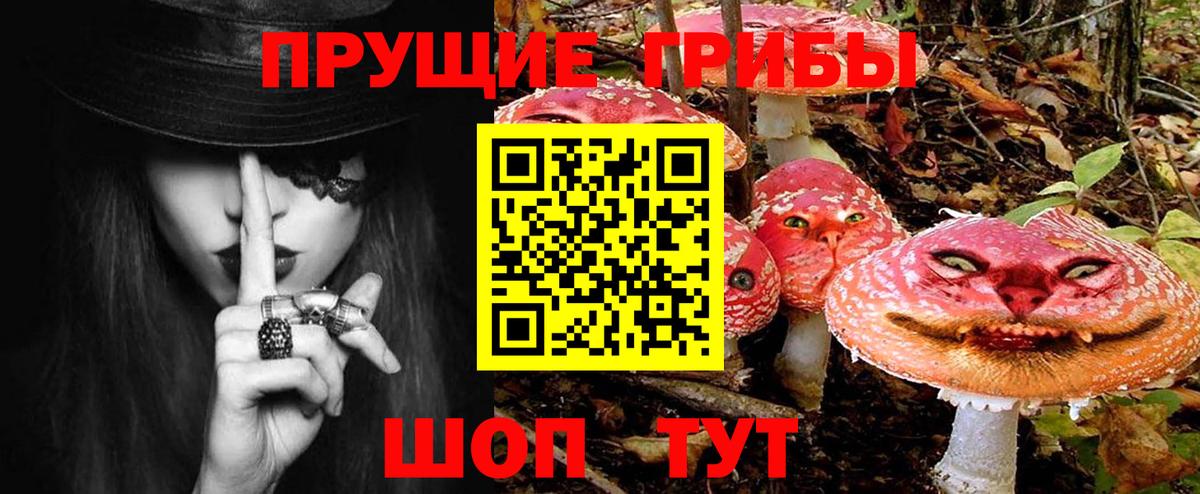 Псилоцибиновые грибы GOLDEN TEACHER  Псилоцибиновые грибы MAGIC MUSHROOMS  Новочебоксарск  Вход с VPN 