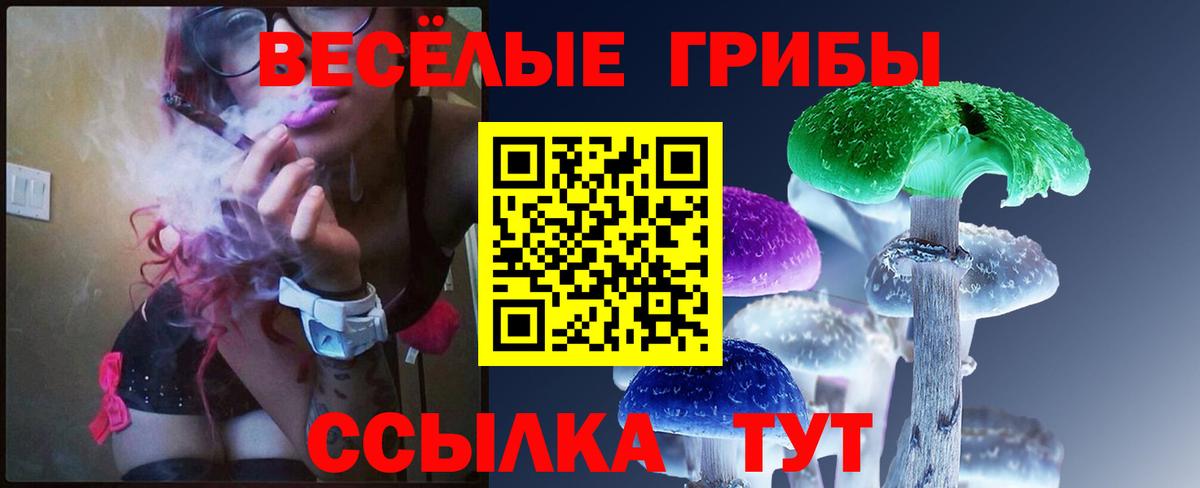 Галлюциногенные грибы MAGIC MUSHROOMS Новочебоксарск